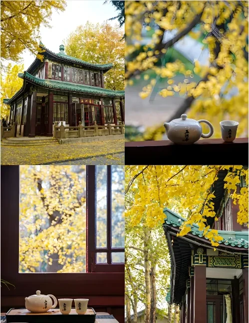 fdc1e761c685c8f7f3e8eb49f4c6304e-sz_675471 fdc1e761c685c8f7f3e8eb49f4c6304e-sz_675471