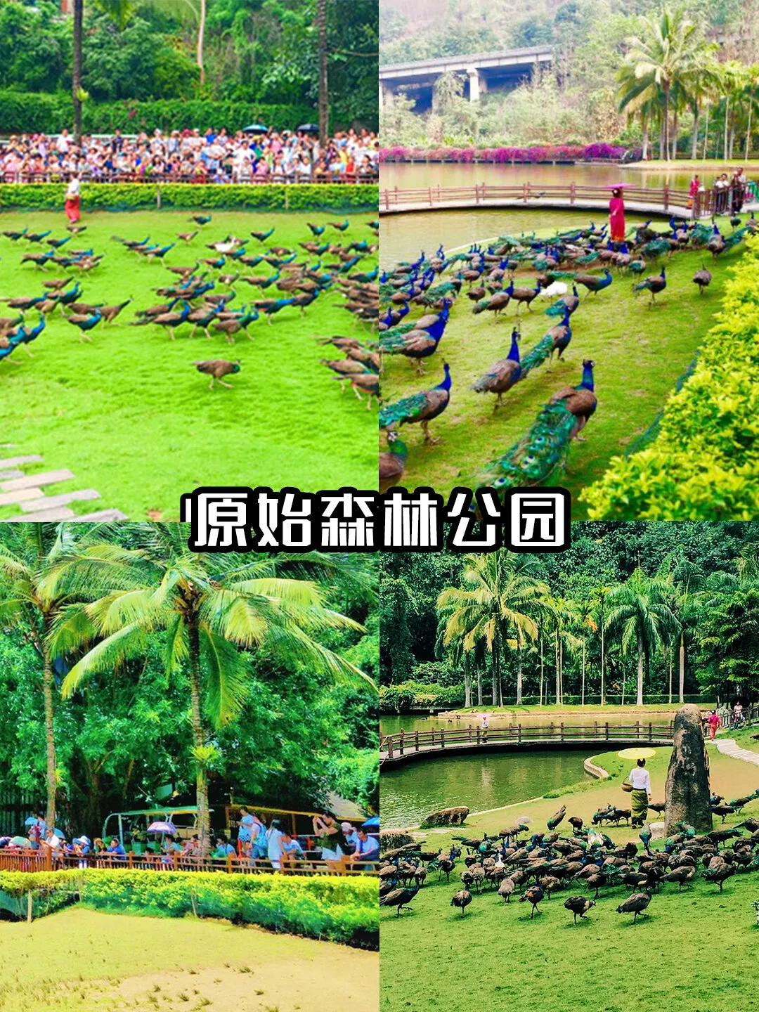 fea37d1855ab57043f52a791a2dc9d1d-sz_671910-1 fea37d1855ab57043f52a791a2dc9d1d-sz_671910-1