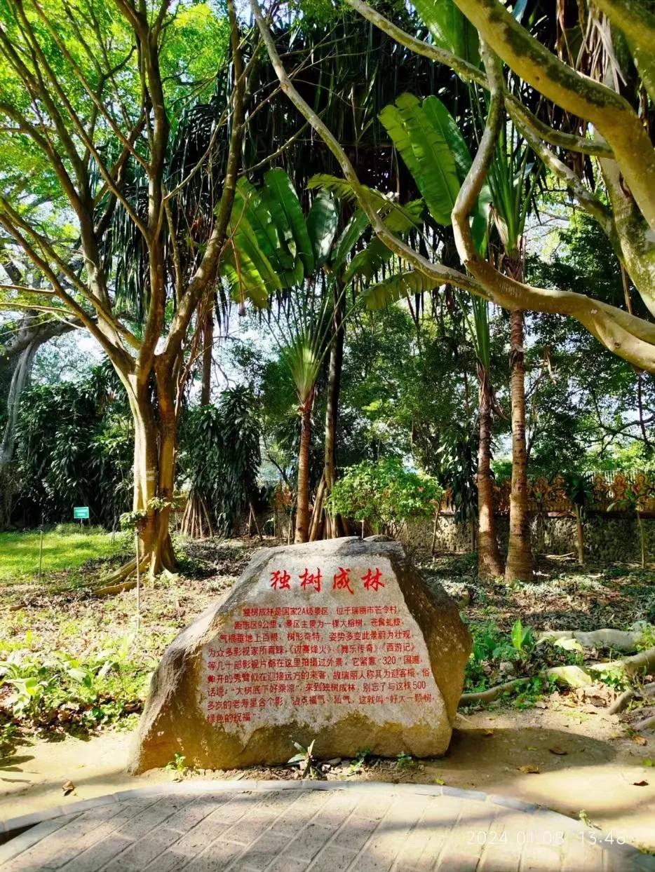 feada6b85b5df7fb1391365c296a5eba-sz_562604