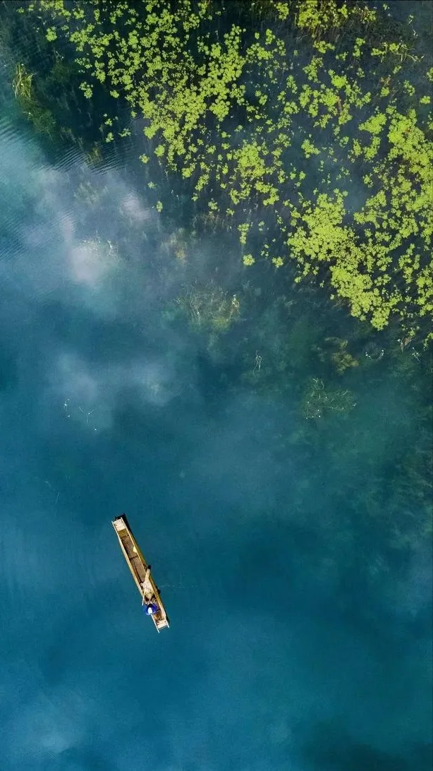 ff247178ba780c7d021631a76b3c7881-sz_284736 ff247178ba780c7d021631a76b3c7881-sz_284736