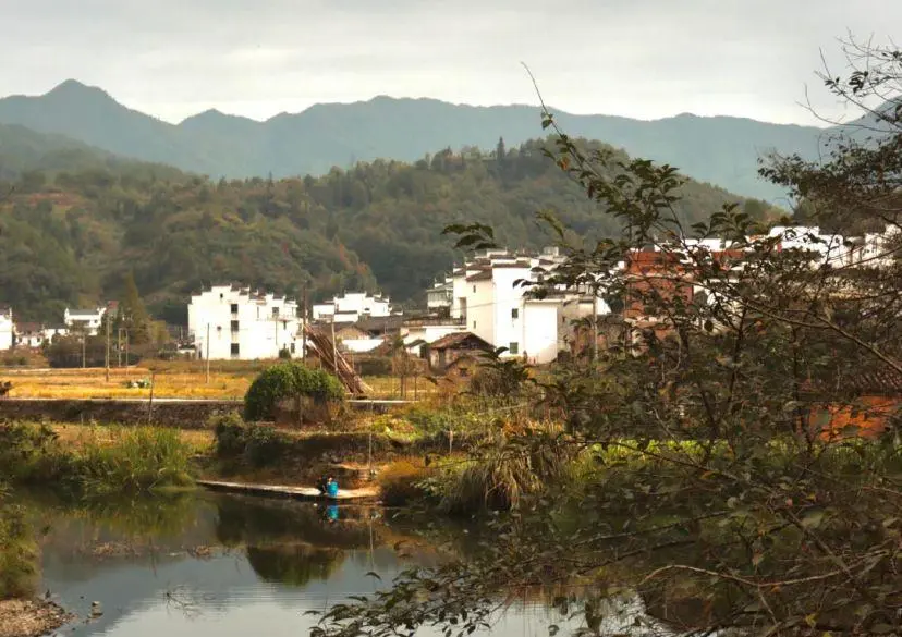 ff50f485f8c17d31c957e0545981cca1-sz_87977