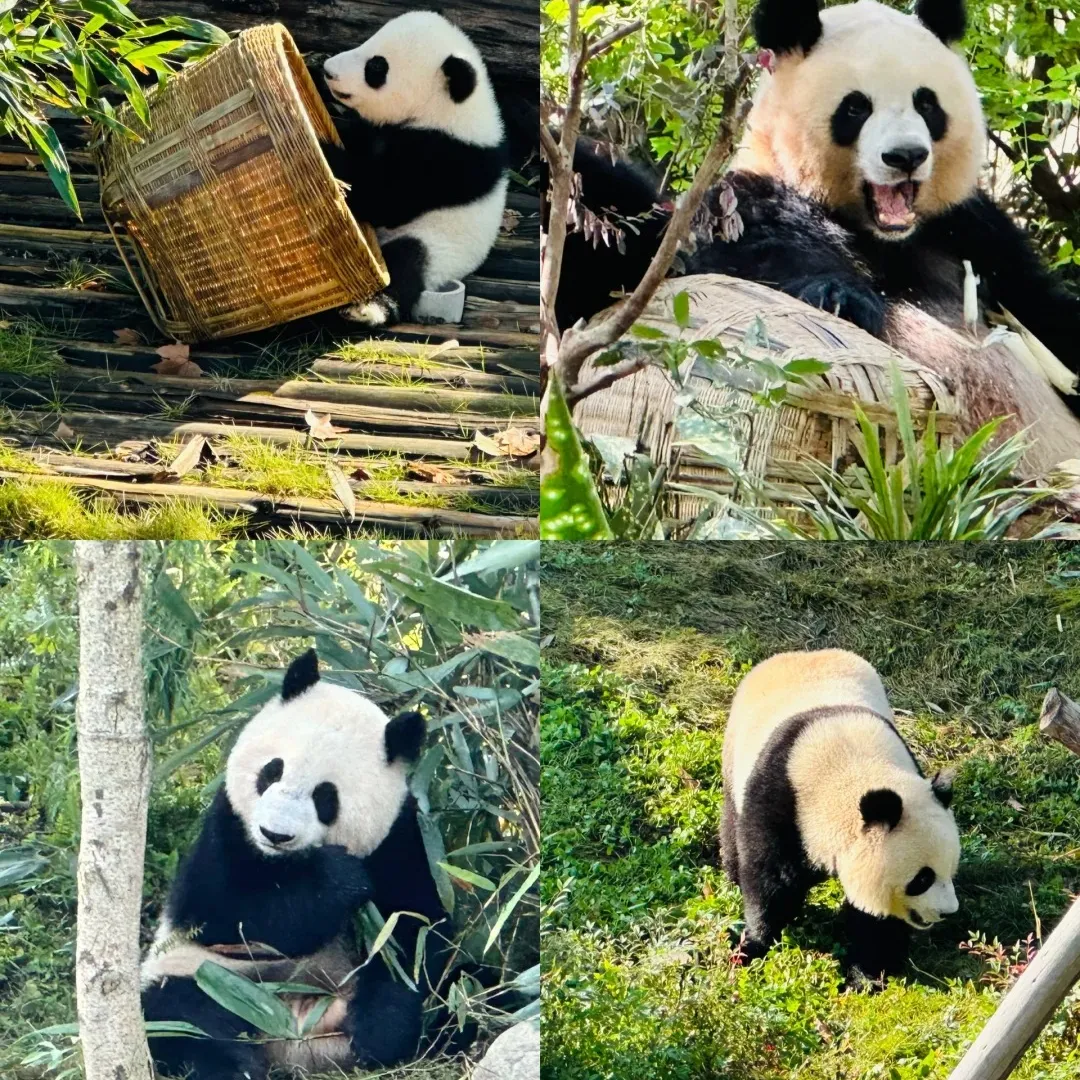 ffbd43baab5b381e593fa1893b4c4bf5-sz_700568 ffbd43baab5b381e593fa1893b4c4bf5-sz_700568