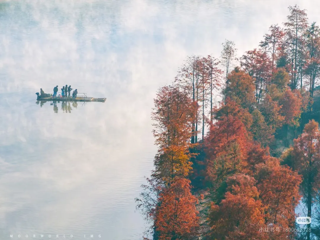 ffd6ce39aa04ab71821dd7b5094a2129-sz_773923