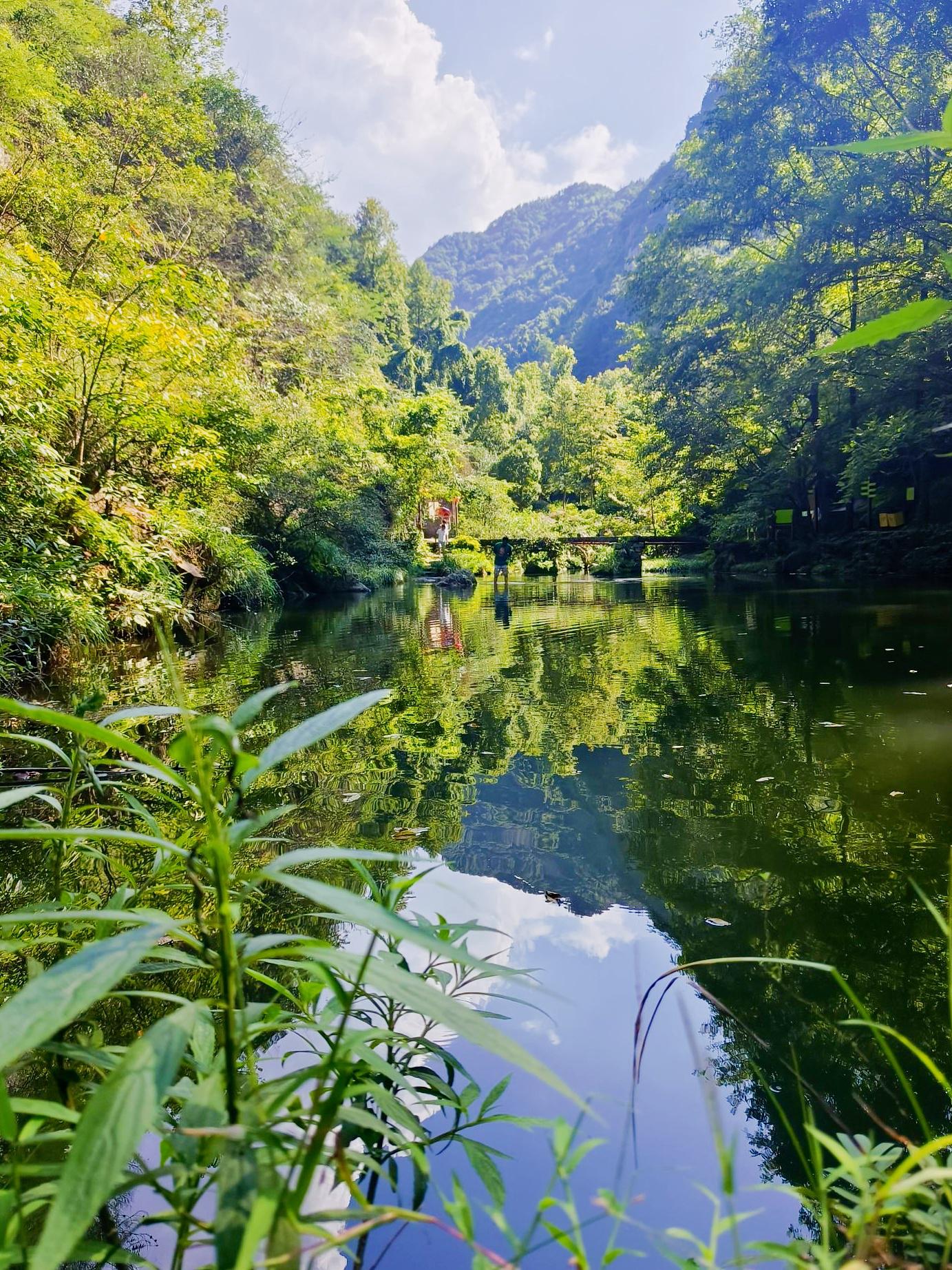 first_1745488230 first_1745488230