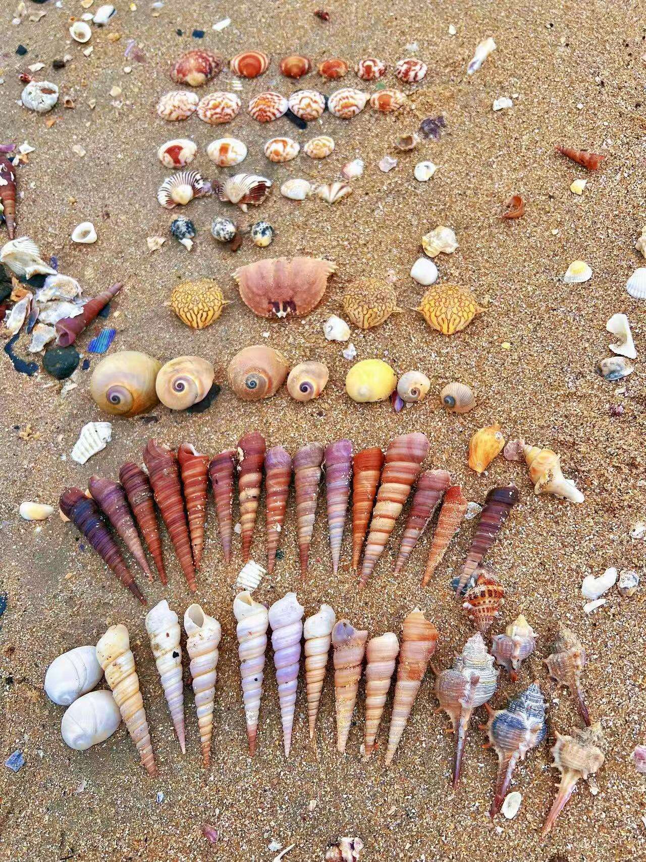 gYGFenyPKzDvQSbh gYGFenyPKzDvQSbh