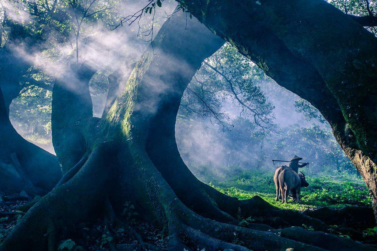 iYPsbzcEWIuytvEw iYPsbzcEWIuytvEw