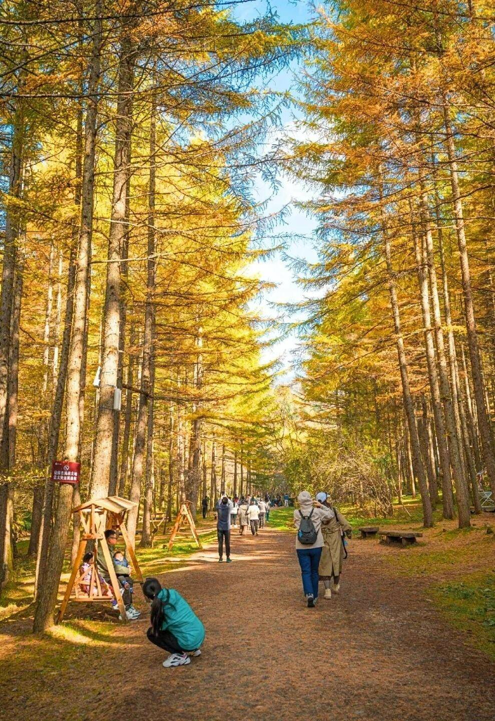 lJWbtpcusTNynwsw lJWbtpcusTNynwsw