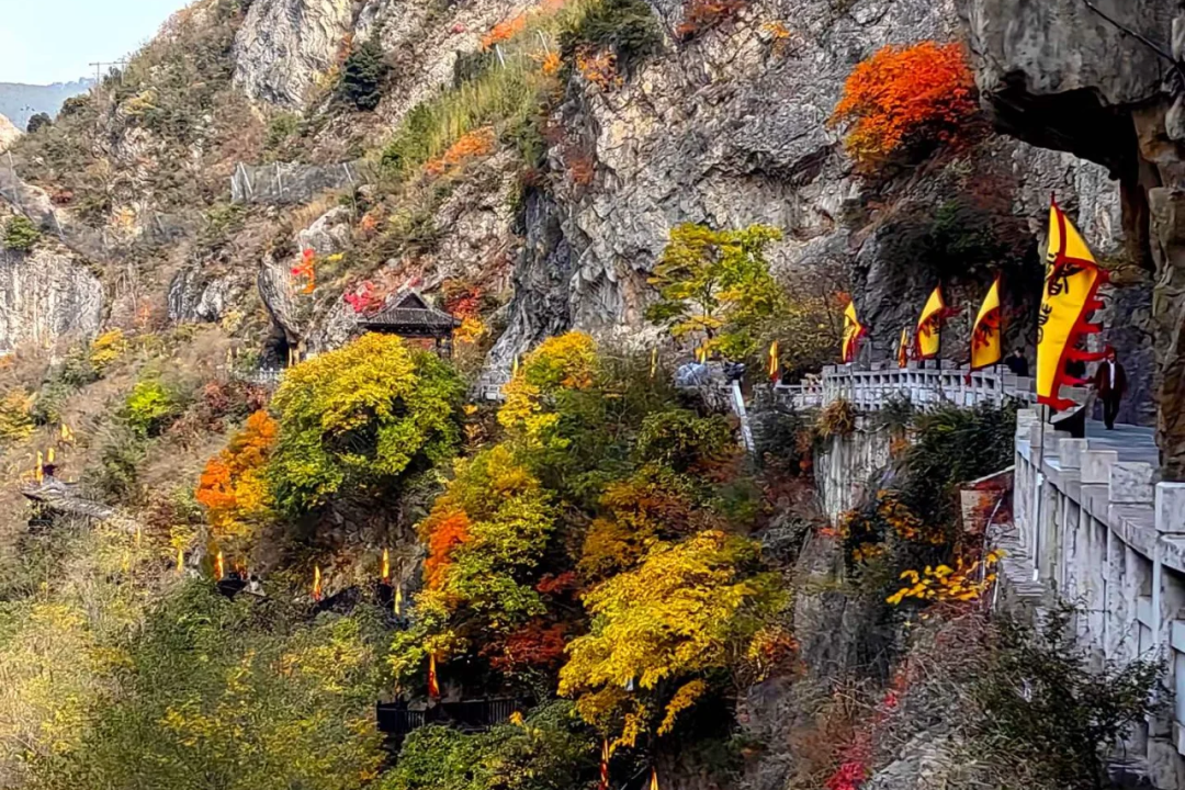 mflPLSuBhOFZTqVU mflPLSuBhOFZTqVU