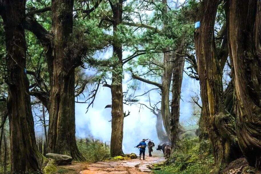 oajFJWJFIOOixhAW oajFJWJFIOOixhAW