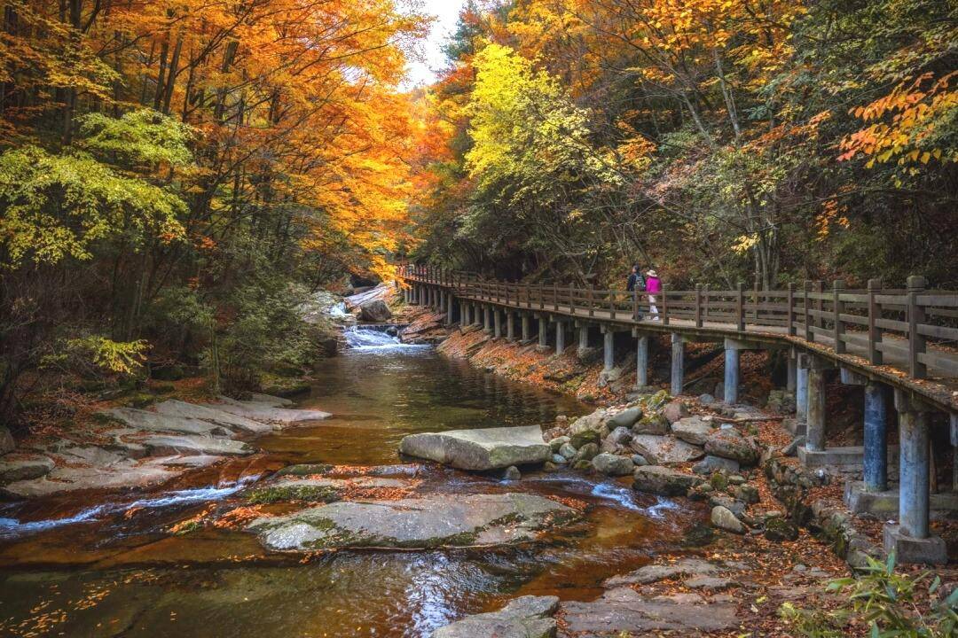 rZcodNtScaxtZRth rZcodNtScaxtZRth