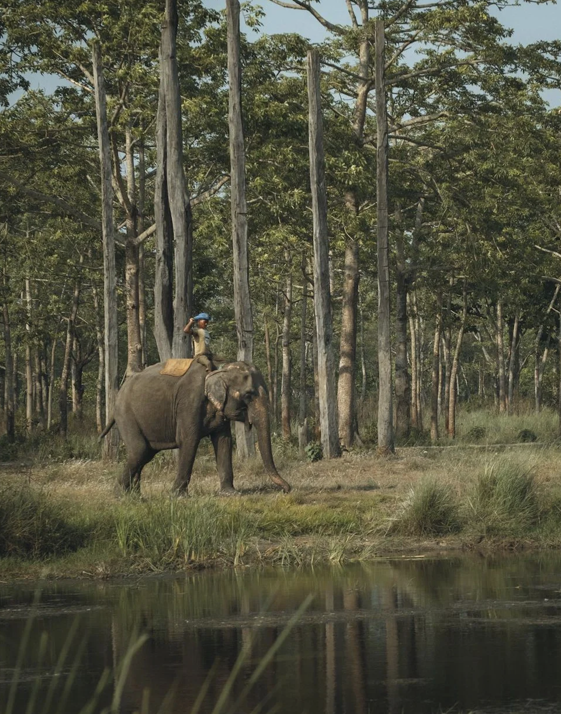 sGlRUJRXpSNFIfIg sGlRUJRXpSNFIfIg