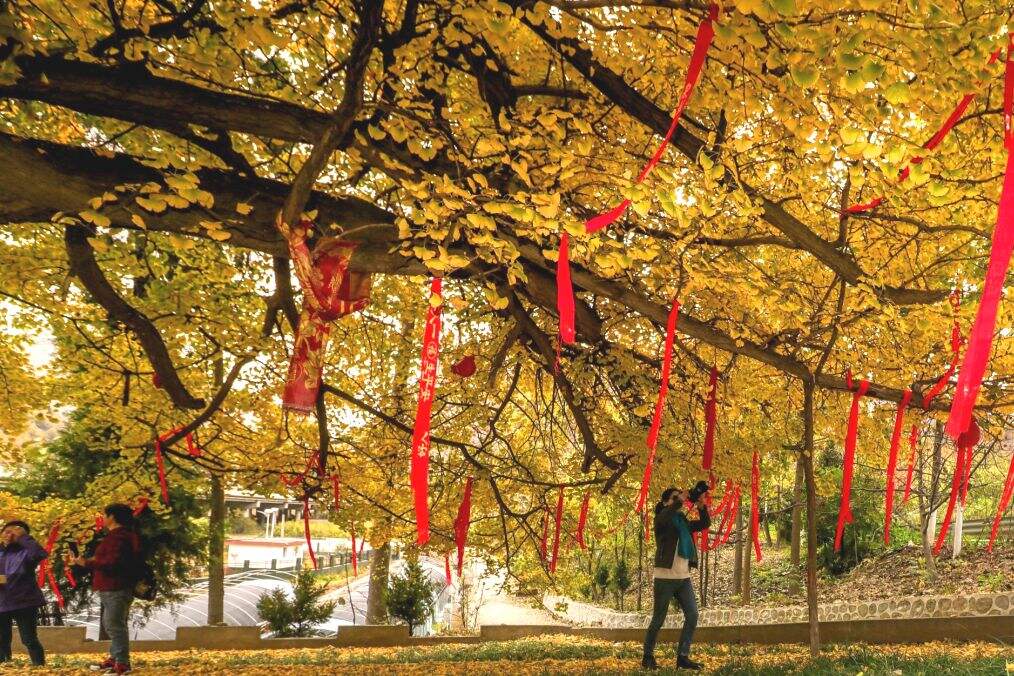 tdvRBMtaJXOYlCim tdvRBMtaJXOYlCim