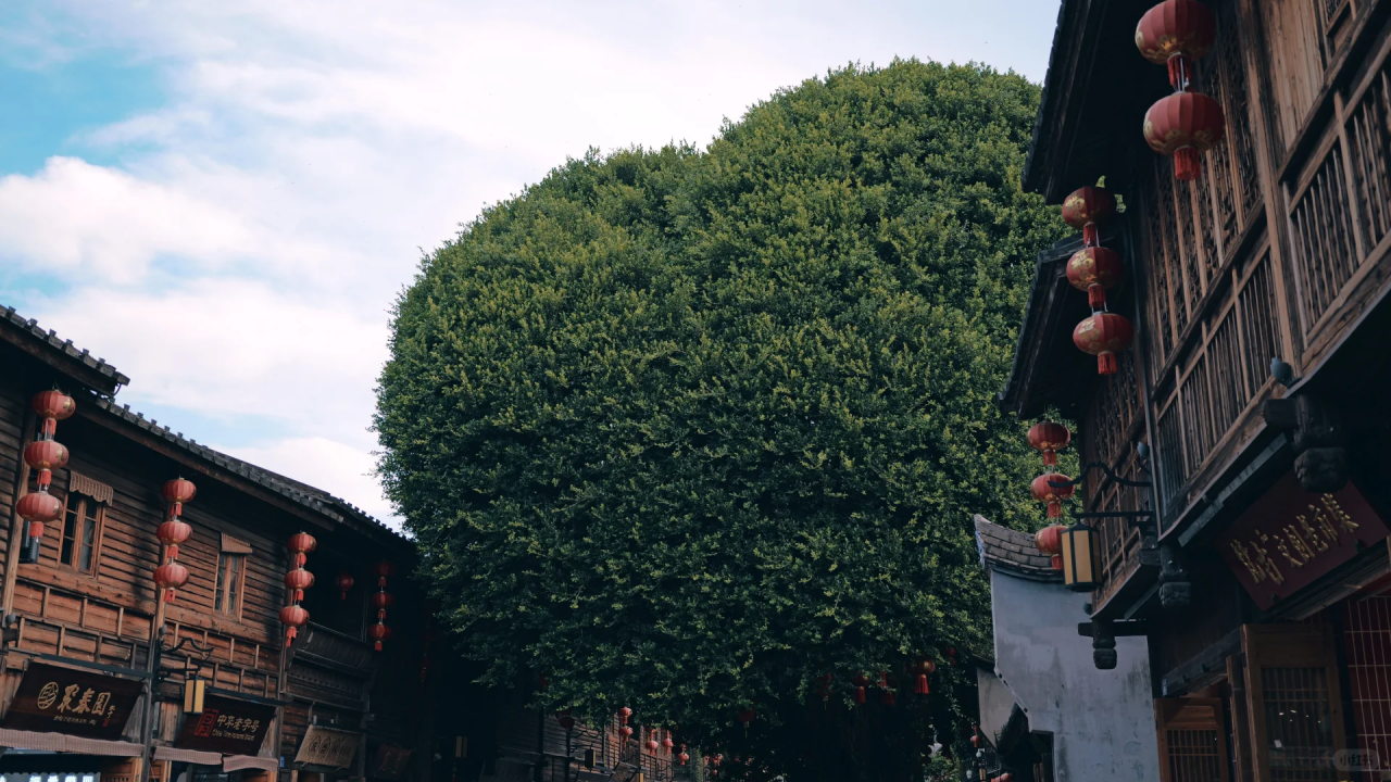 uSZAbyDisNLIcEVh uSZAbyDisNLIcEVh