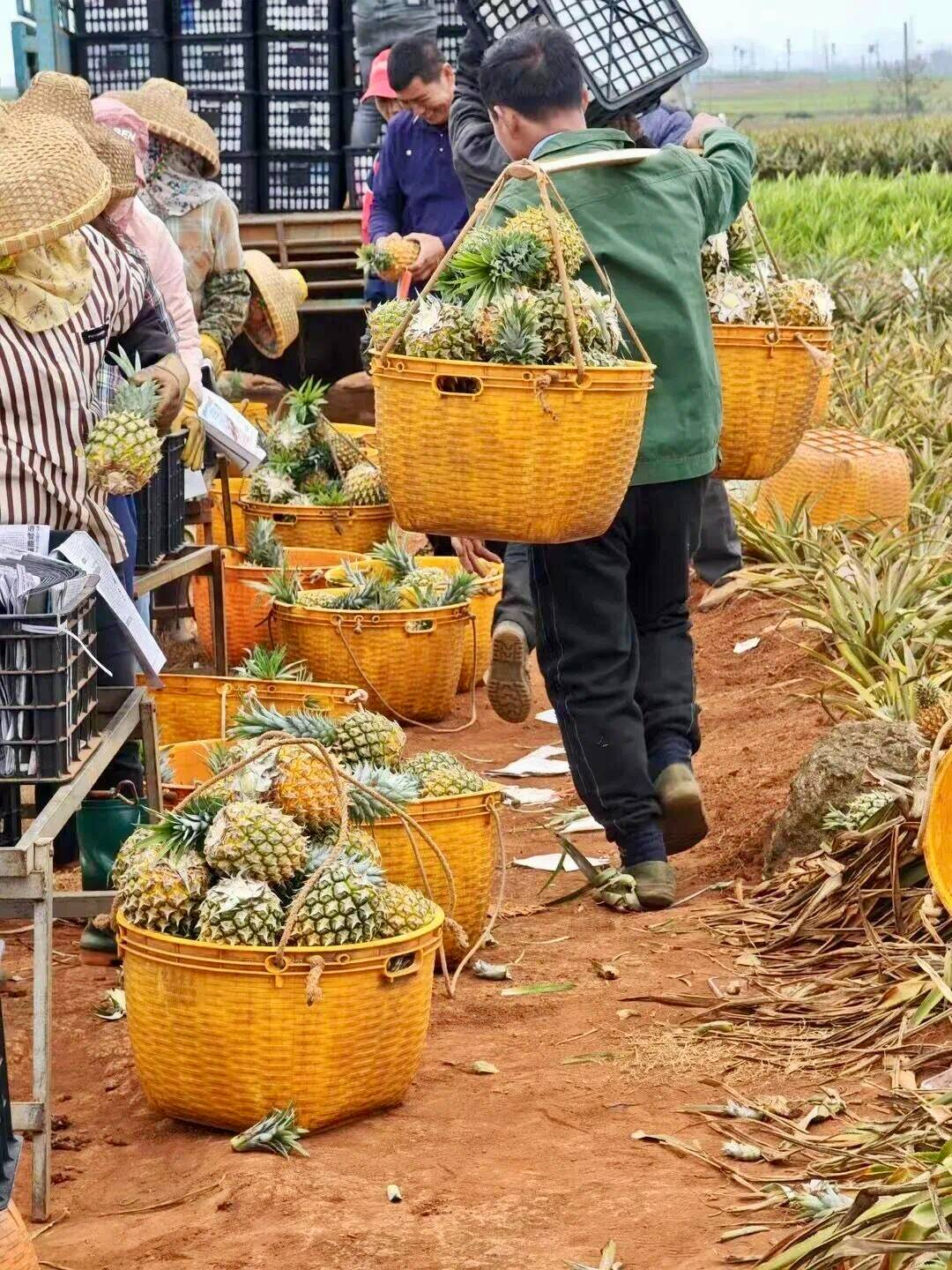 yQcjDXTGdQMmqMVn yQcjDXTGdQMmqMVn