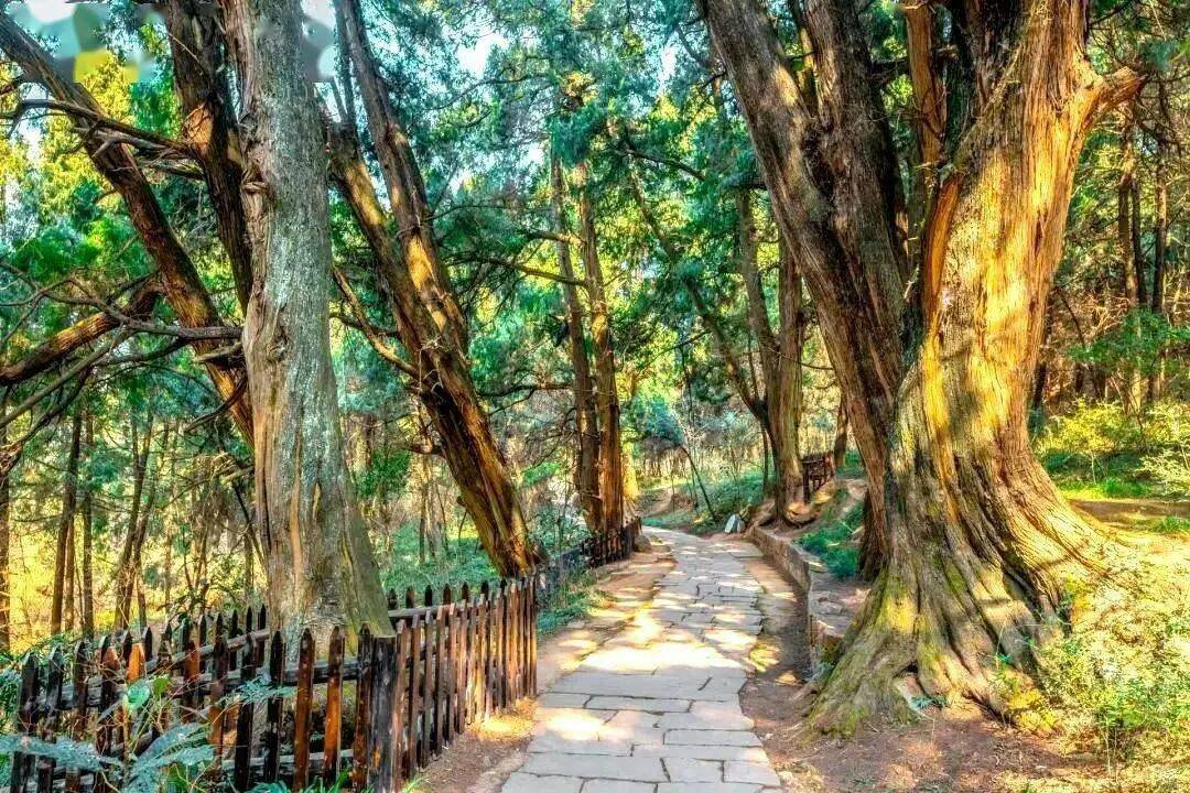 yrzanIlXDKijqhoJ yrzanIlXDKijqhoJ