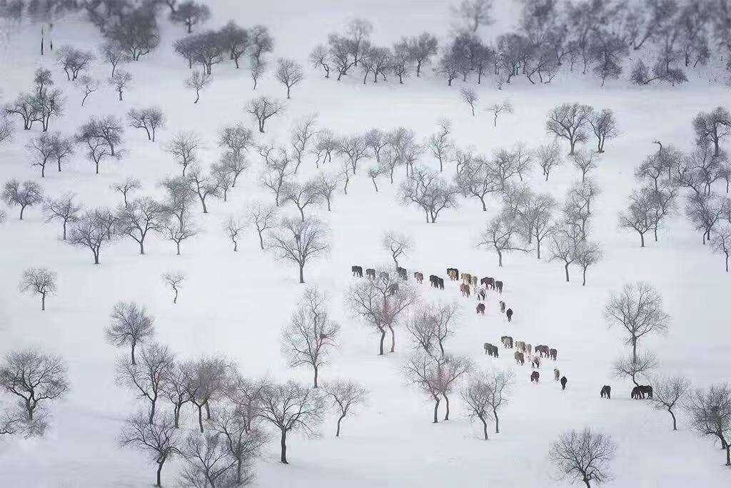 00000000ASCaoMKWRPuwVtye