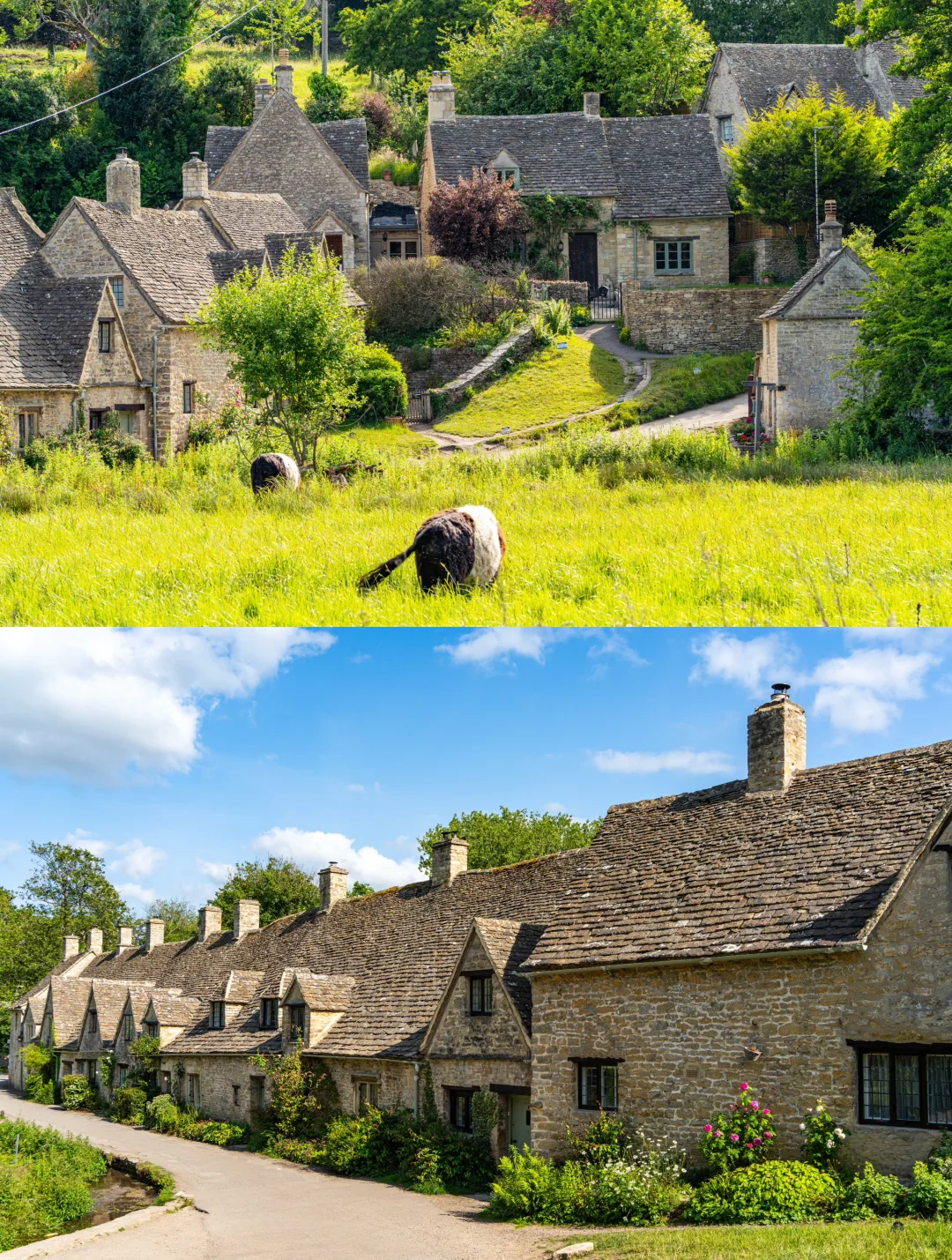 00000000BUkiUCgwAywmornZ