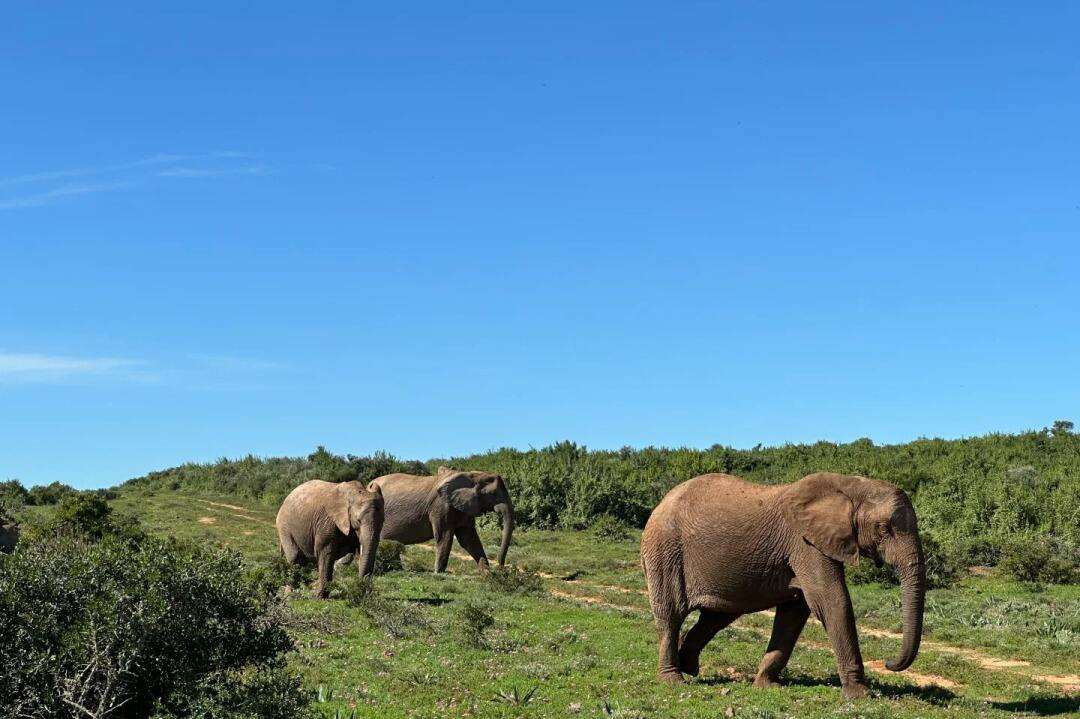 00000000BiNhxAfHvZaaktVT 00000000BiNhxAfHvZaaktVT