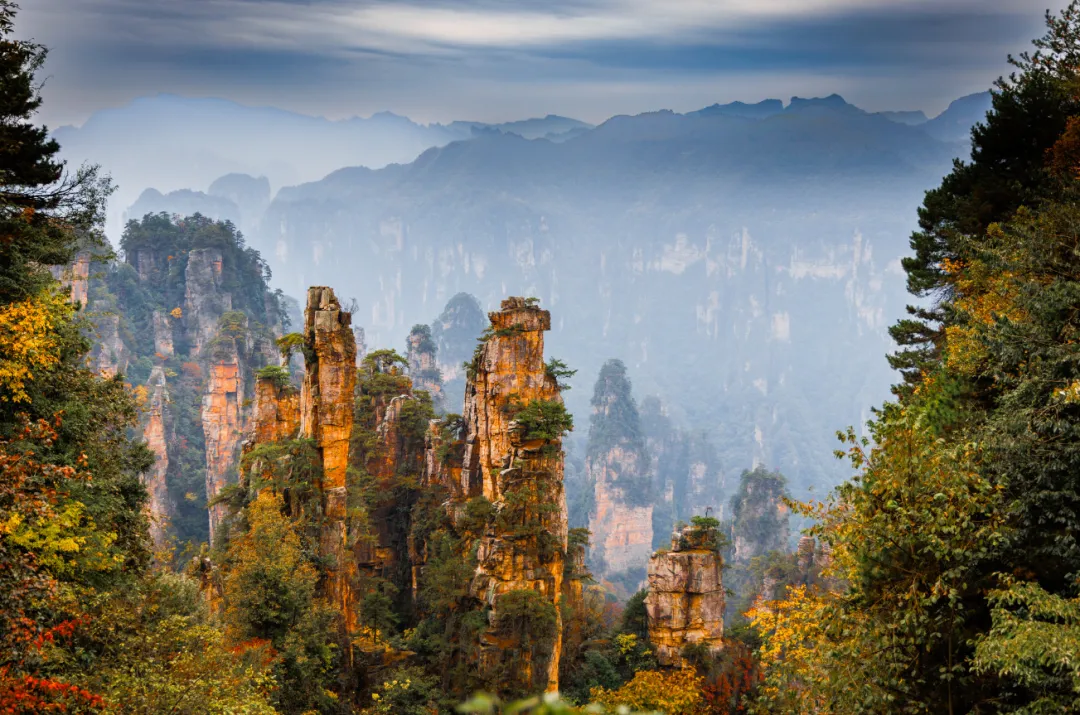 00000000CJqDoQuFhjXRHmJq