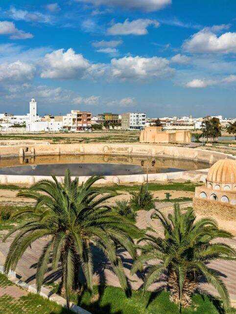 00000000CVAIrZnaqkMdyCVB