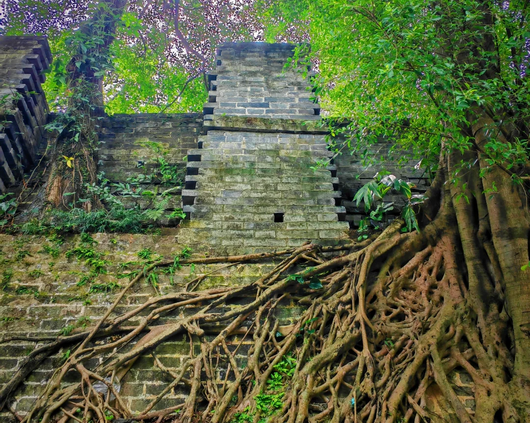 00000000CtejaEEUasHUSFOL