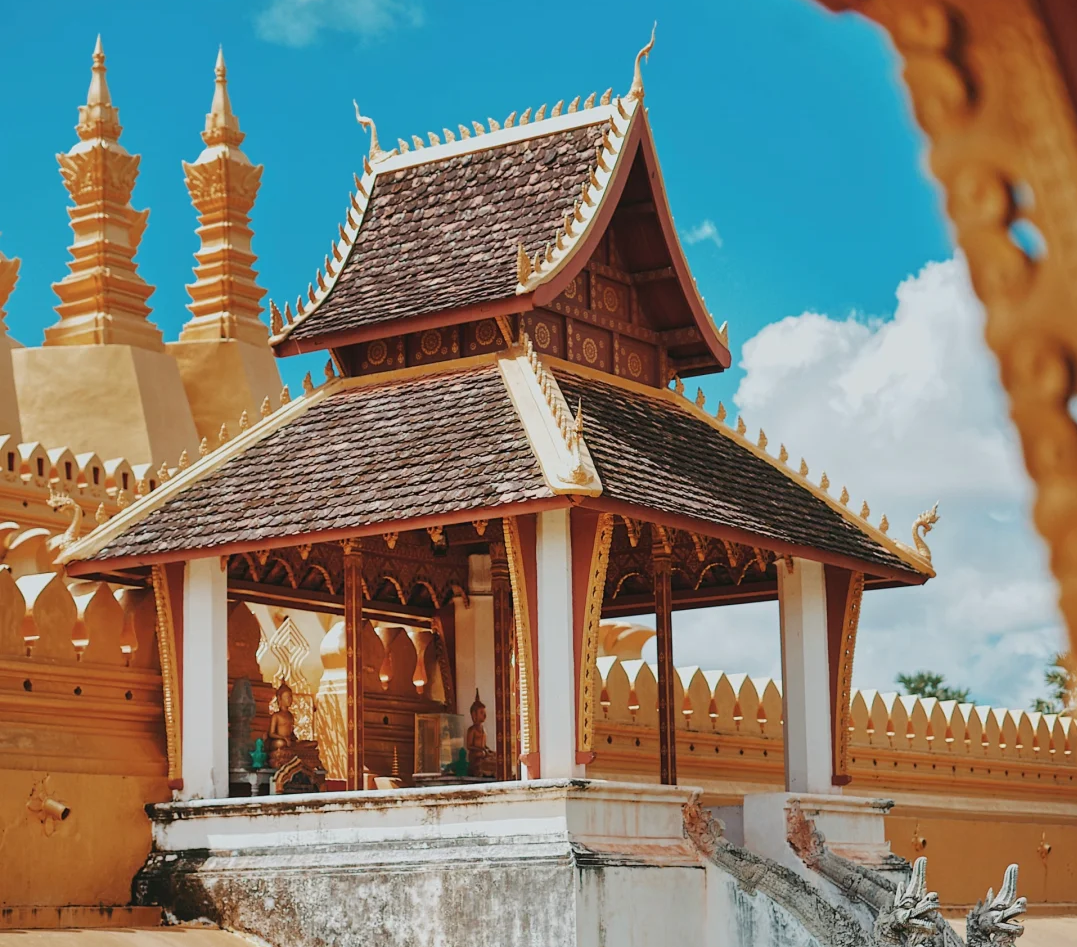 00000000DBXwUhWVZgUGvXoo