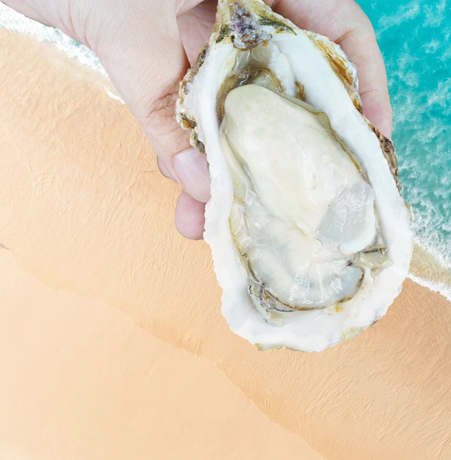 00000000DMLOjzEZKPrTYKRg