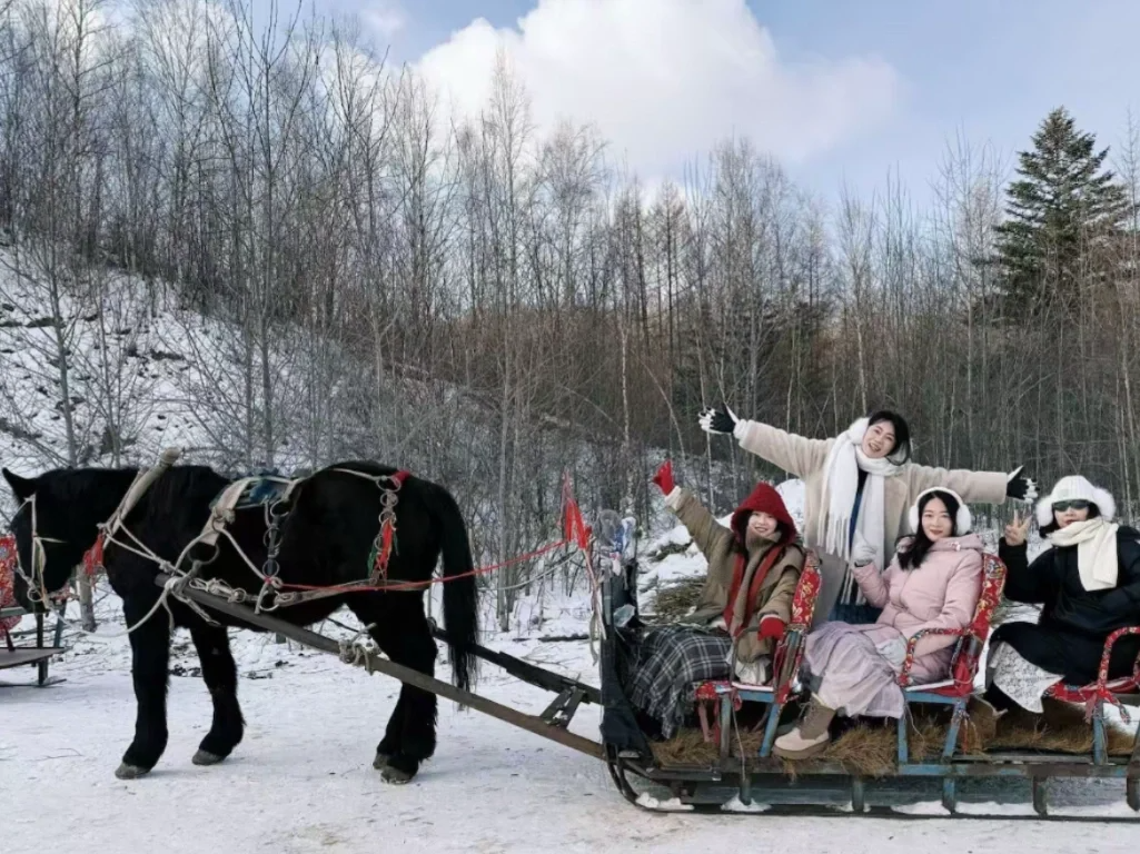 00000000DleBfiALyTuRaUKu