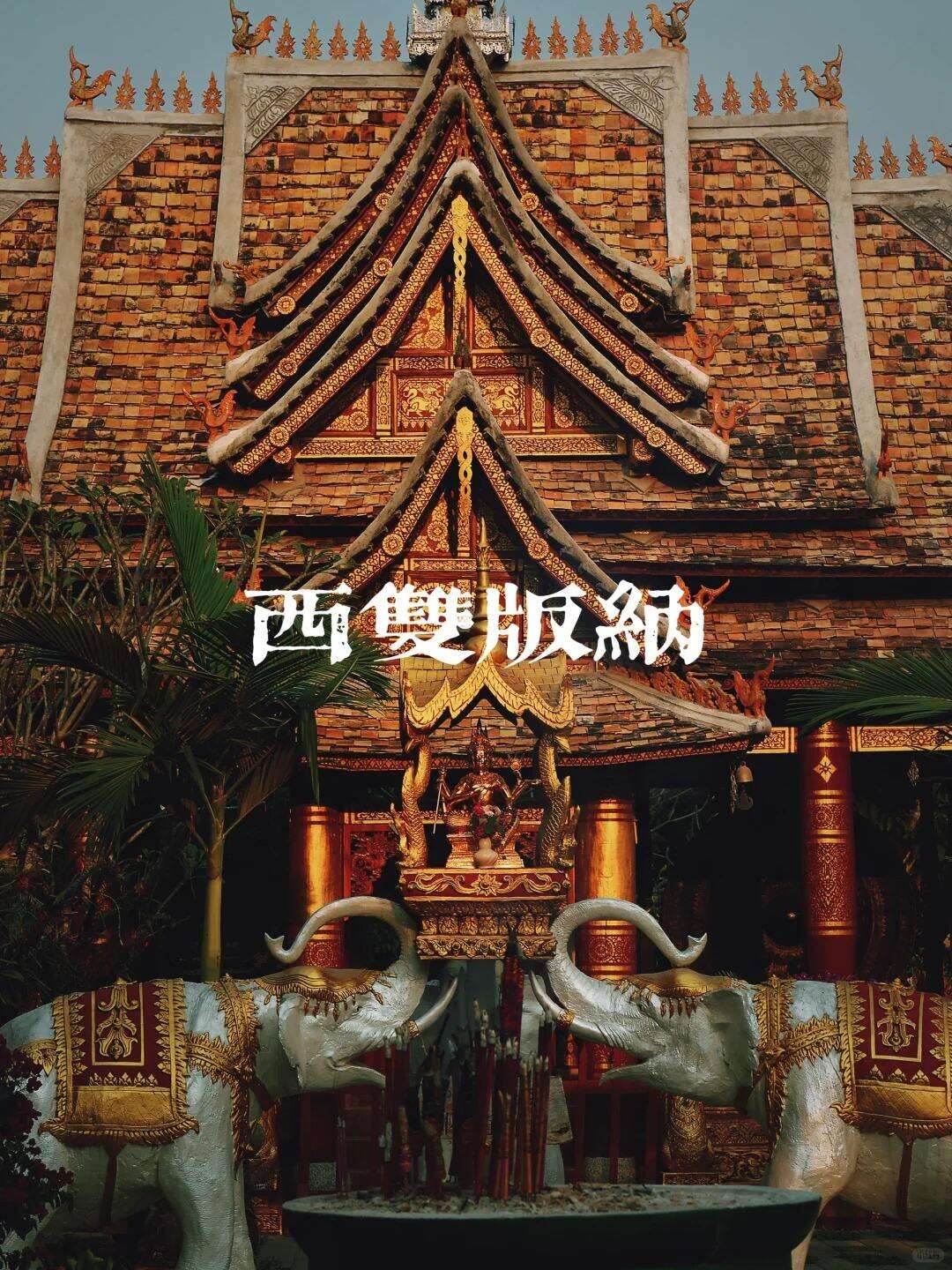 00000000EWJVdmnRTlRbsQrg