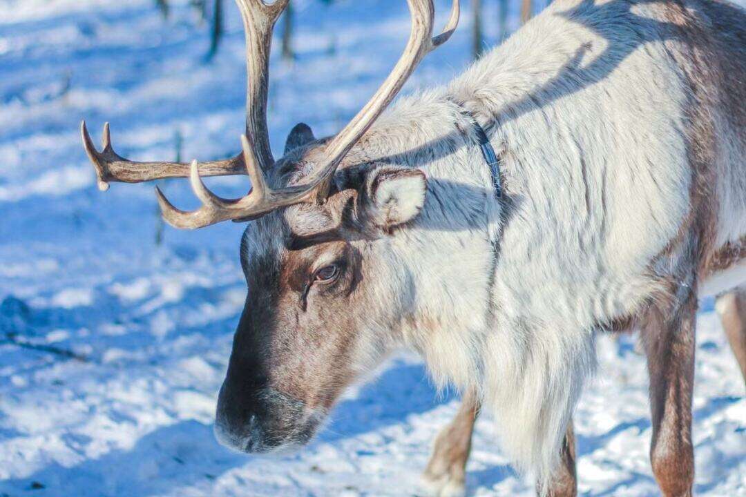 00000000EXxjmEqrQqurosrW 00000000EXxjmEqrQqurosrW