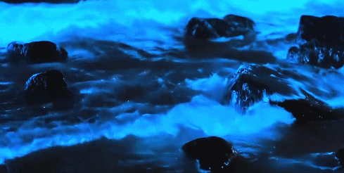 00000000EwSZNxgMMQuTGBvD-1