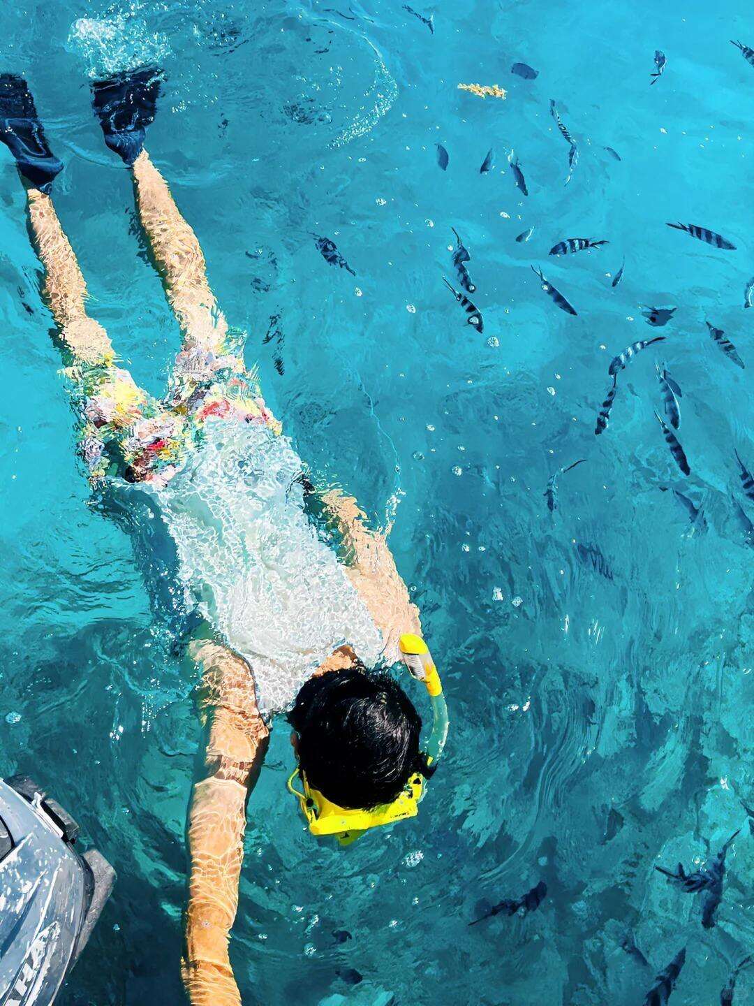 00000000FJNYzdDiUEdGhxtu 00000000FJNYzdDiUEdGhxtu