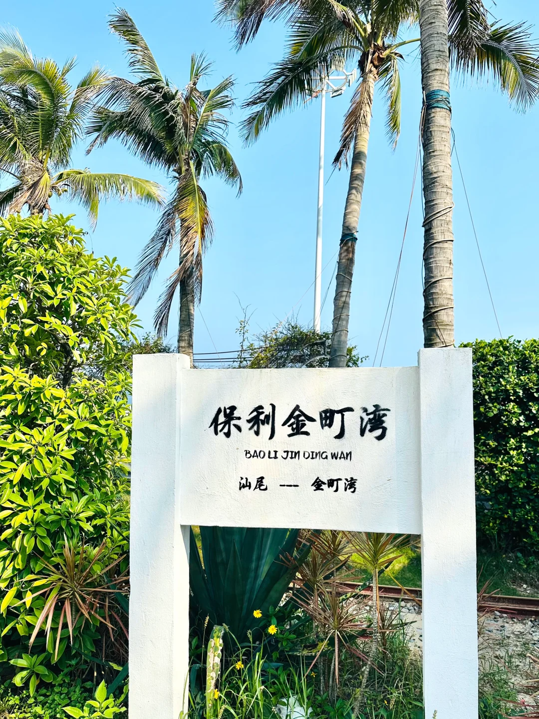 00000000FTdlORothajCagQq