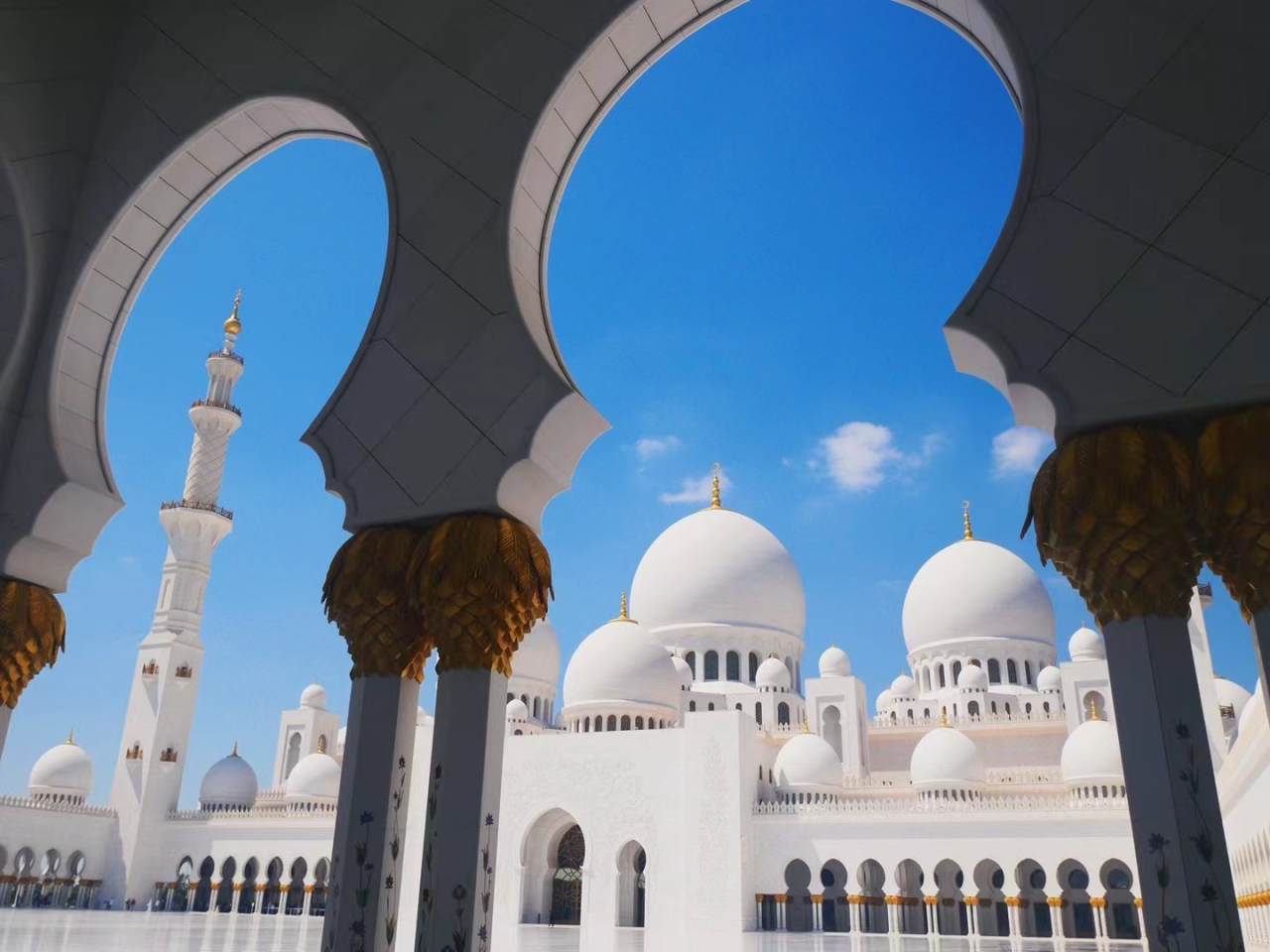 00000000FlzOwdZYbNuwQGSM 00000000FlzOwdZYbNuwQGSM