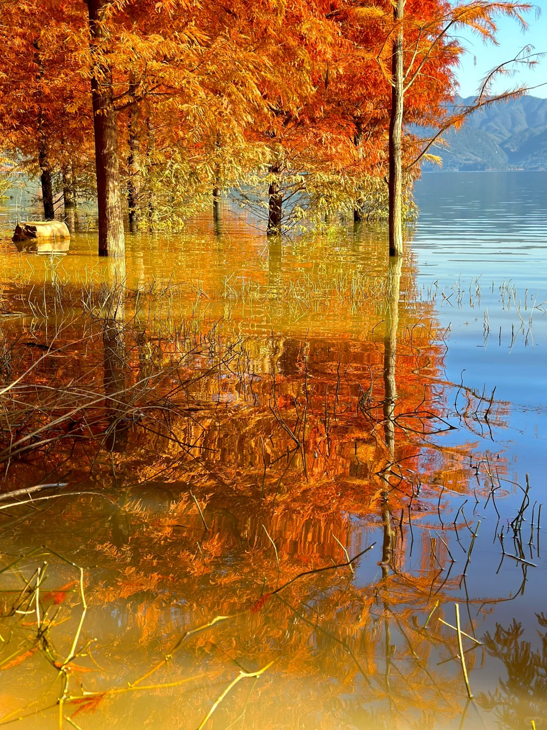 00000000GDBBedWSitoBEgwV