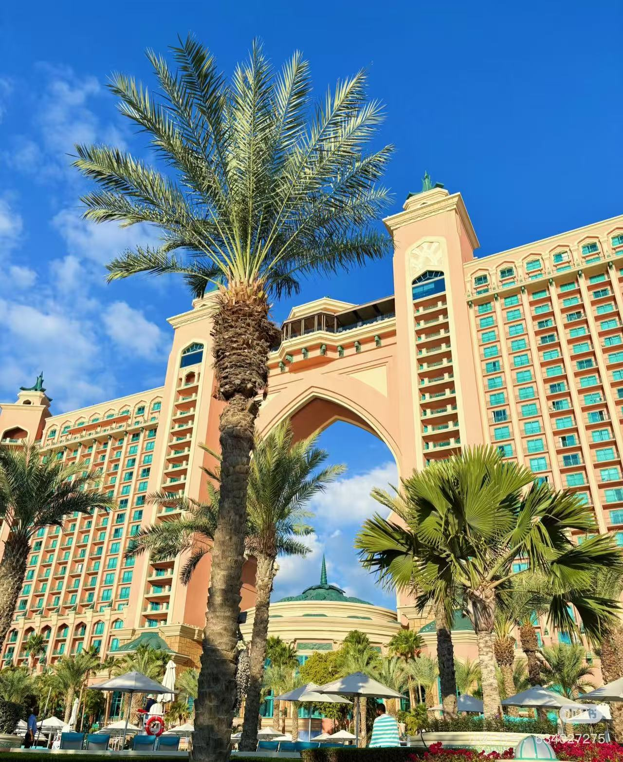 00000000GKYvedARsaEHLtvz 00000000GKYvedARsaEHLtvz