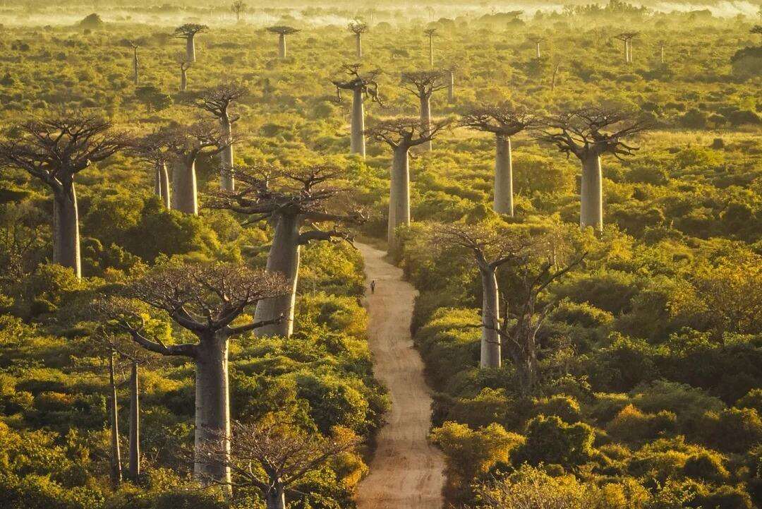 00000000GRfaQXpAMGRTpCBn 00000000GRfaQXpAMGRTpCBn