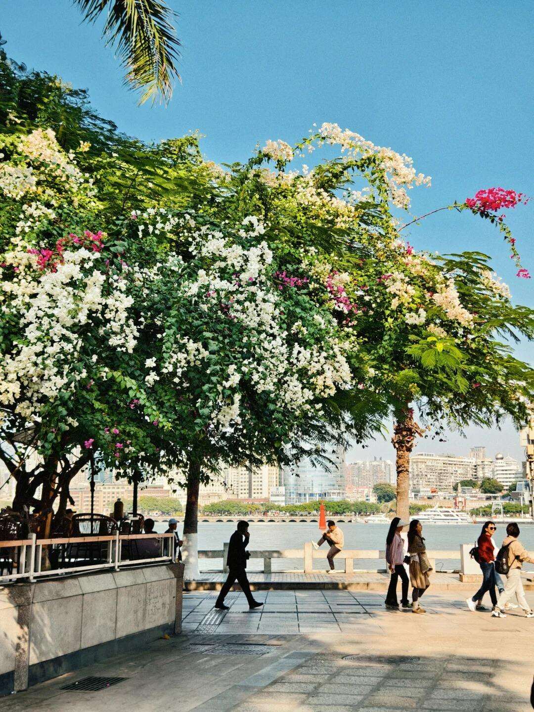 00000000GfjpYdnqsjEazRJq