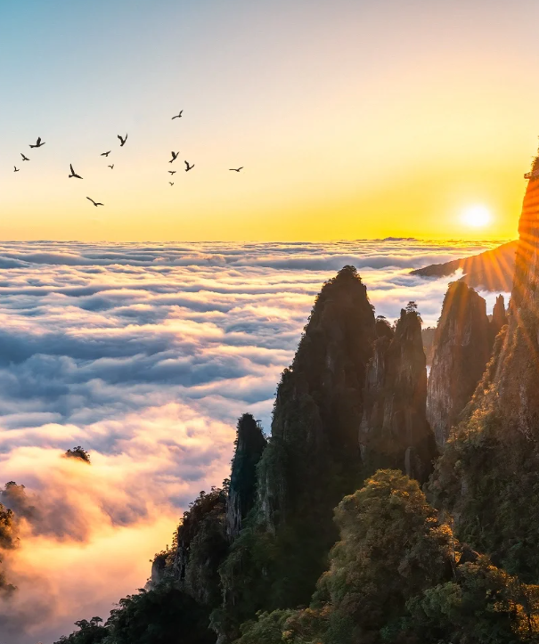 00000000HJeCuTTXoyaQWoFo