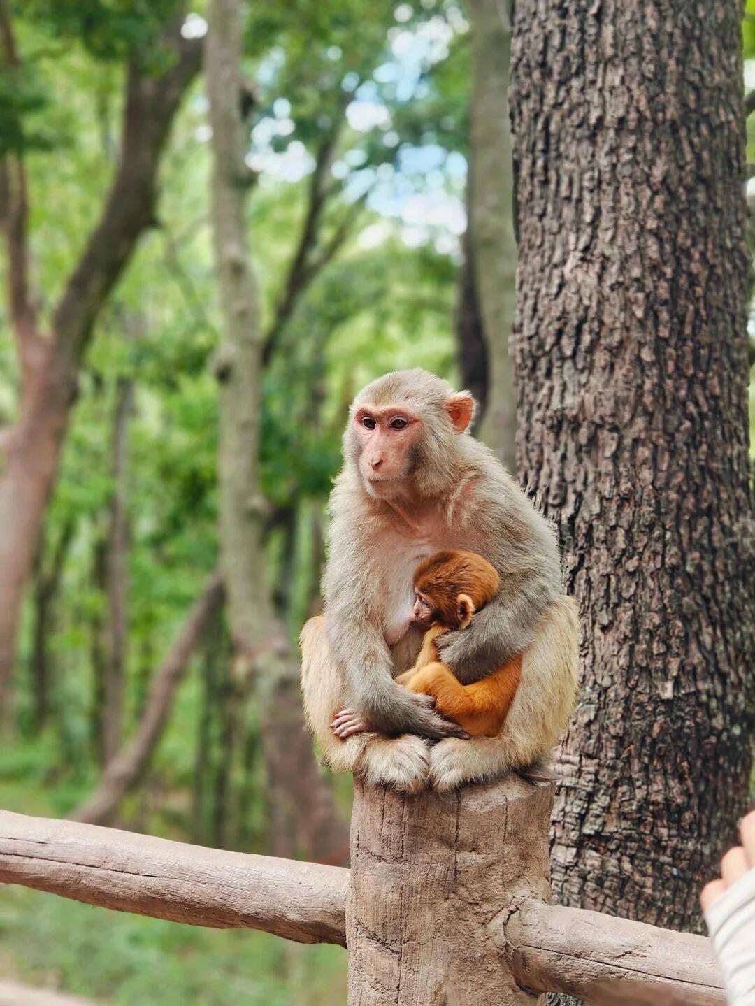 00000000IOUVckLLmSmoUhsG 00000000IOUVckLLmSmoUhsG