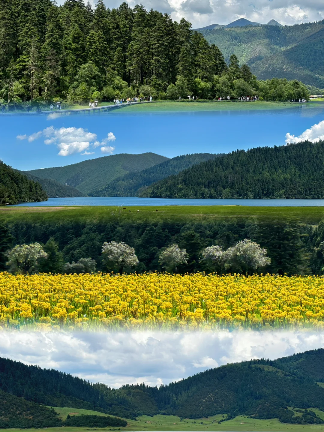 00000000JUuXfZXKddkJxLMD