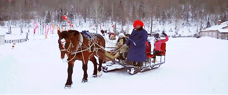 00000000JeJzTElxhlIeKPHe 00000000JeJzTElxhlIeKPHe