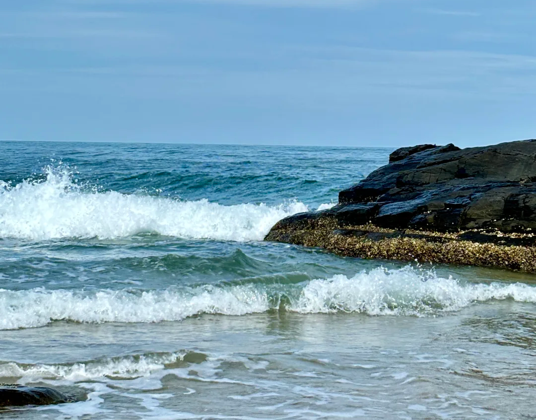 00000000JzVroxILgkqeCZzl