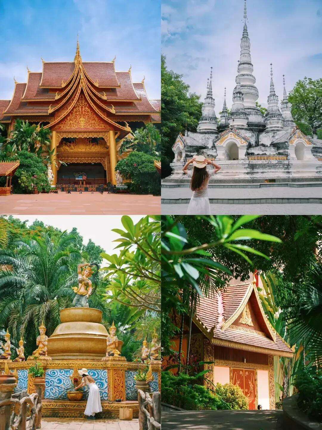 00000000KFPxsgzcMXdrcbRW