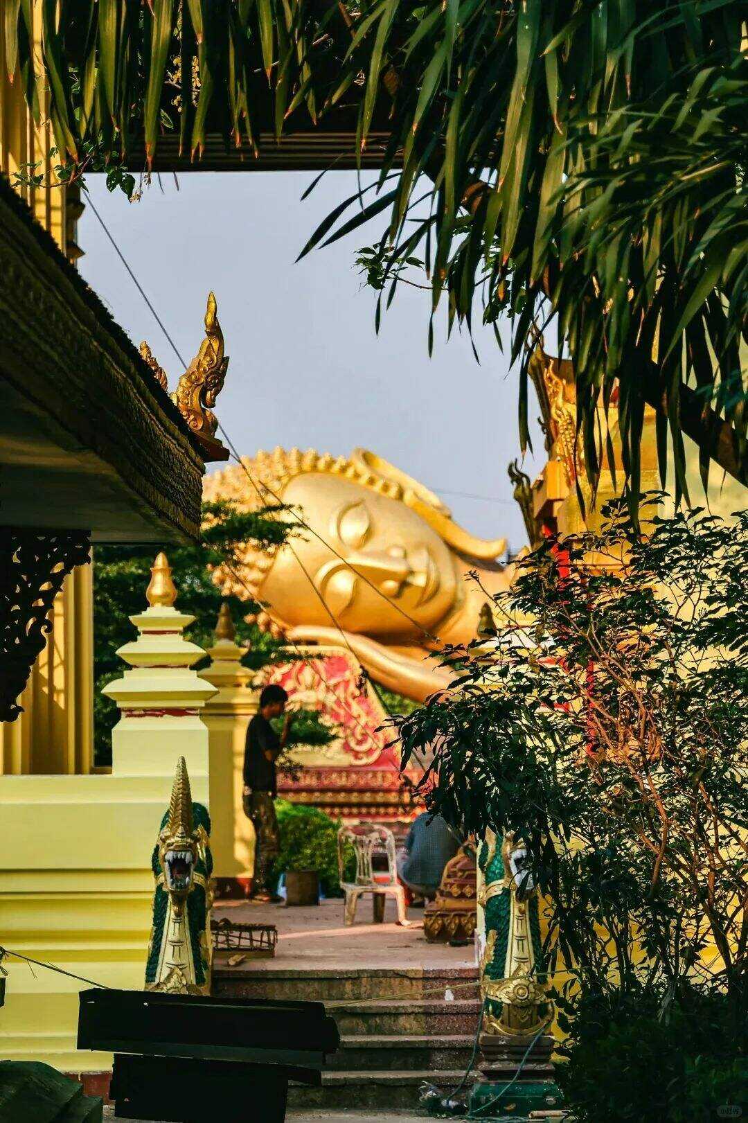 00000000KFtkcjyoUVODorJs