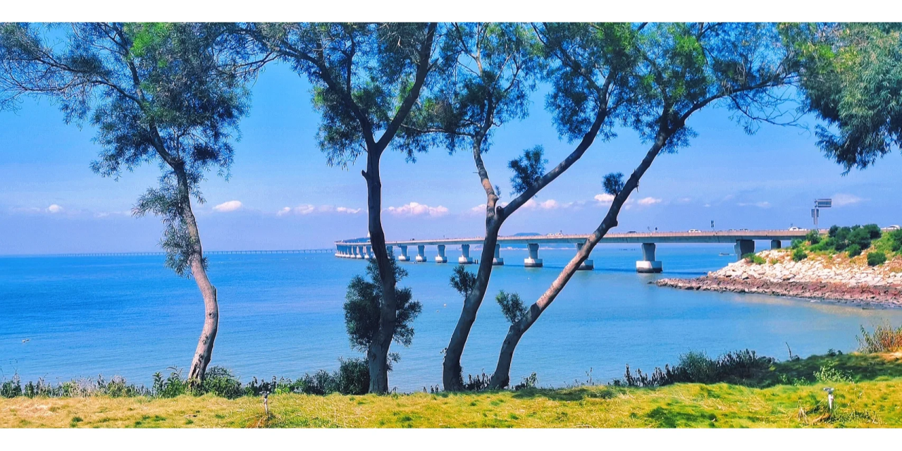 00000000KrMXKUtJwvsrzEig