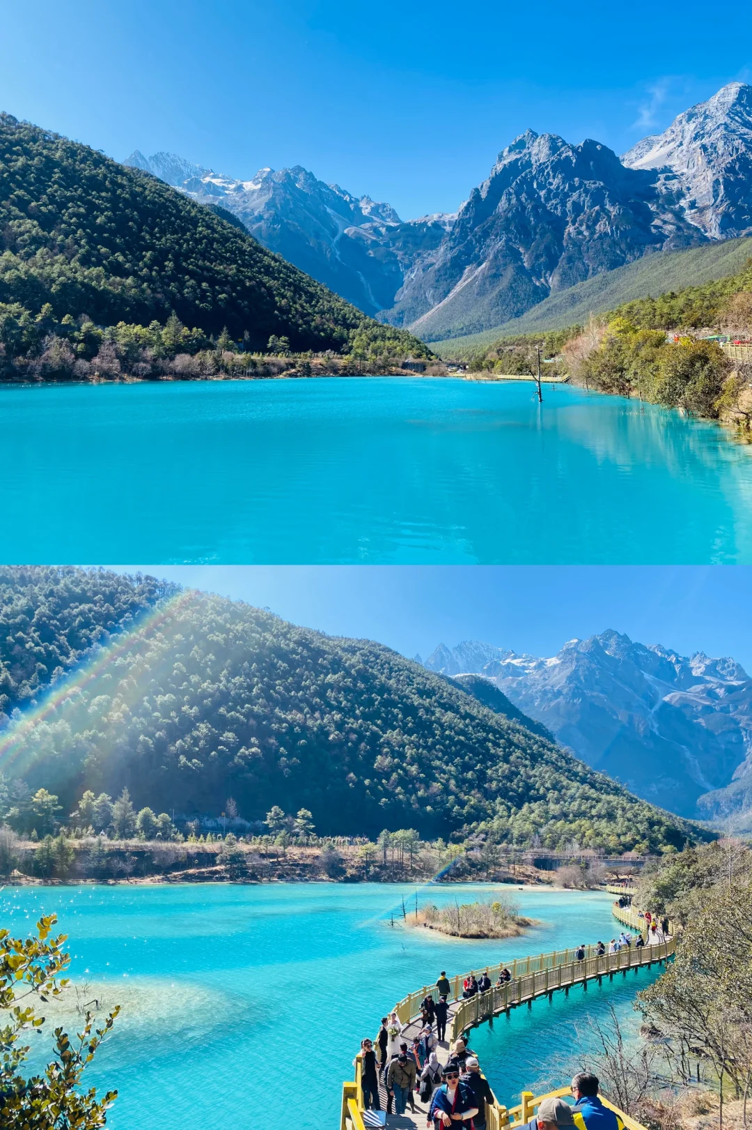 春落香格里拉|玉龙雪山·虎跳峡 · 普达措国家公园·泸沽湖 |丽江·大理·香格里拉·泸沽湖 双飞8日双飞8天|直飞丽江