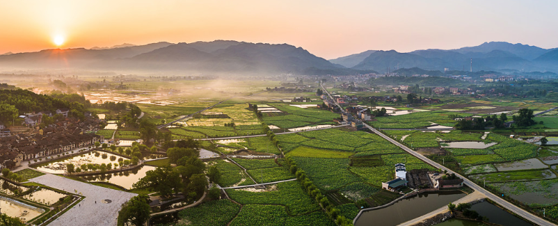 00000000MAFfLiiZVTDwrzyB