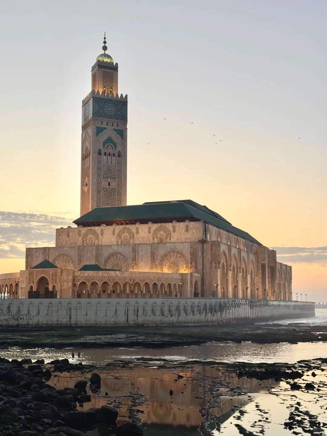 00000000MPEPqrCyXkCRmKzE