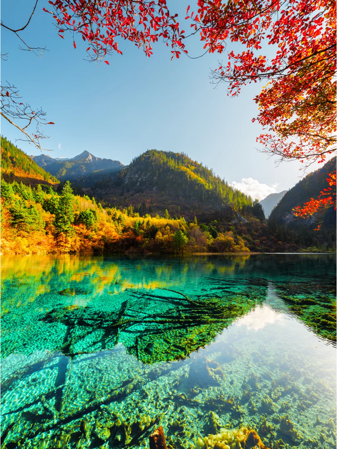 00000000MULzySjOaYnBBQNR 00000000MULzySjOaYnBBQNR